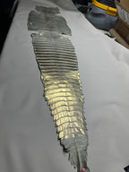 Croc Silver Leather