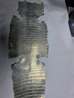 Croc Silver Leather