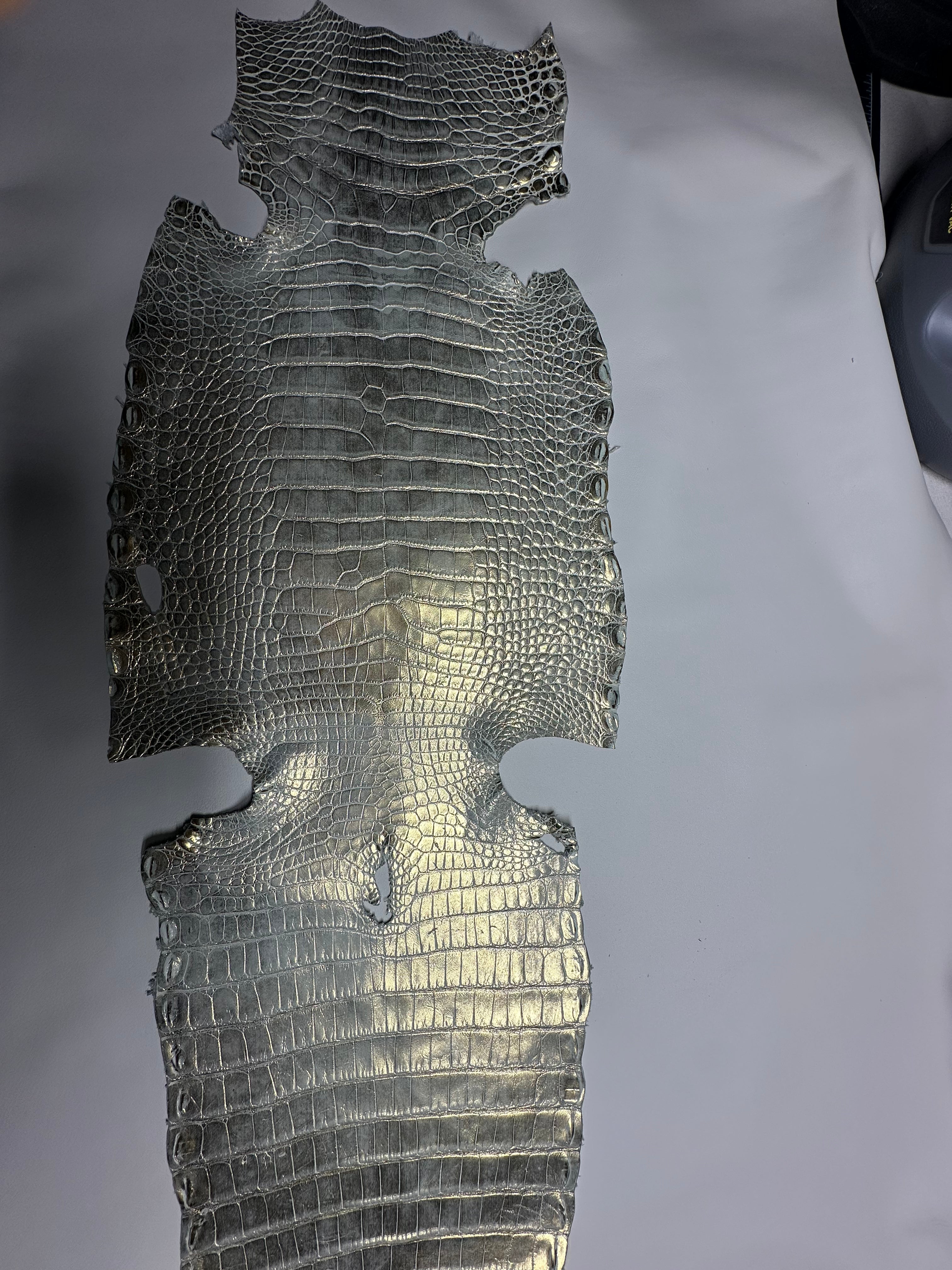 Croc Silver Leather