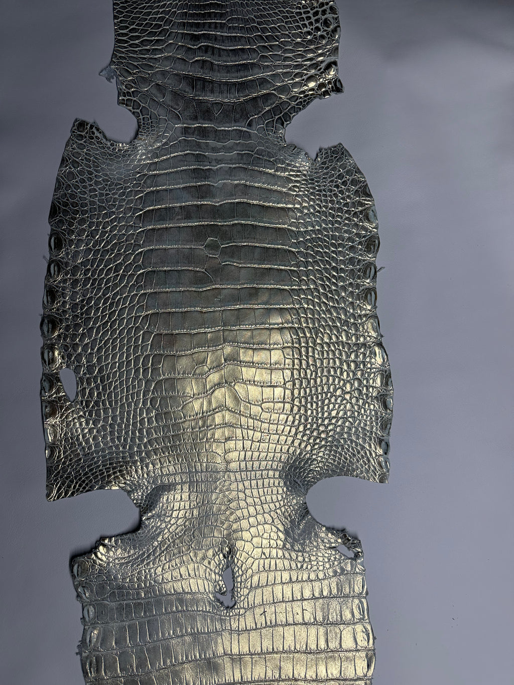Croc Silver Leather