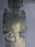 Croc Silver Leather