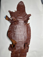 Croc Brown Leather