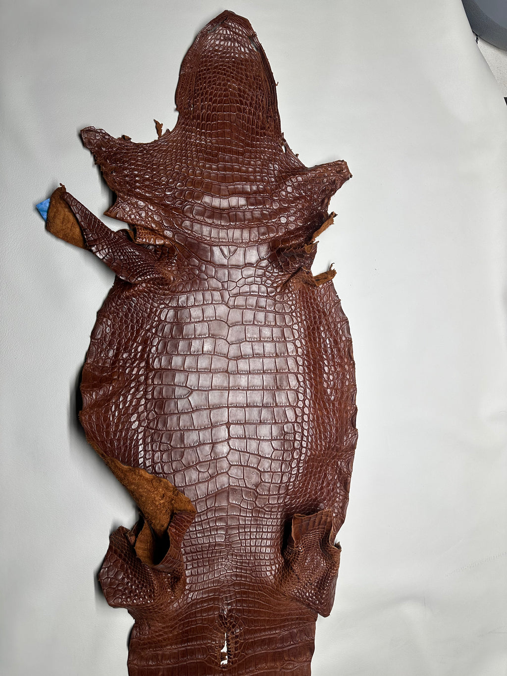 Croc Brown Leather