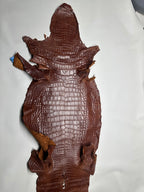 Croc Brown Leather