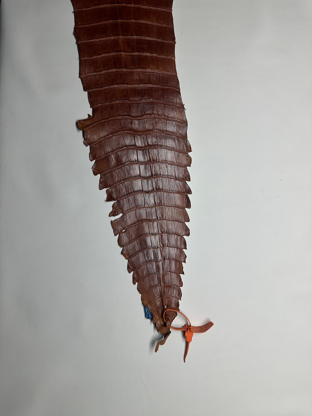 Croc Brown Leather