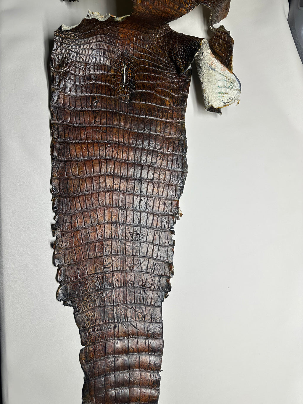 Custom Croc Brown / Black Leather