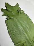 Croc Green Leather
