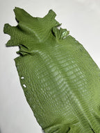 Croc Green Leather