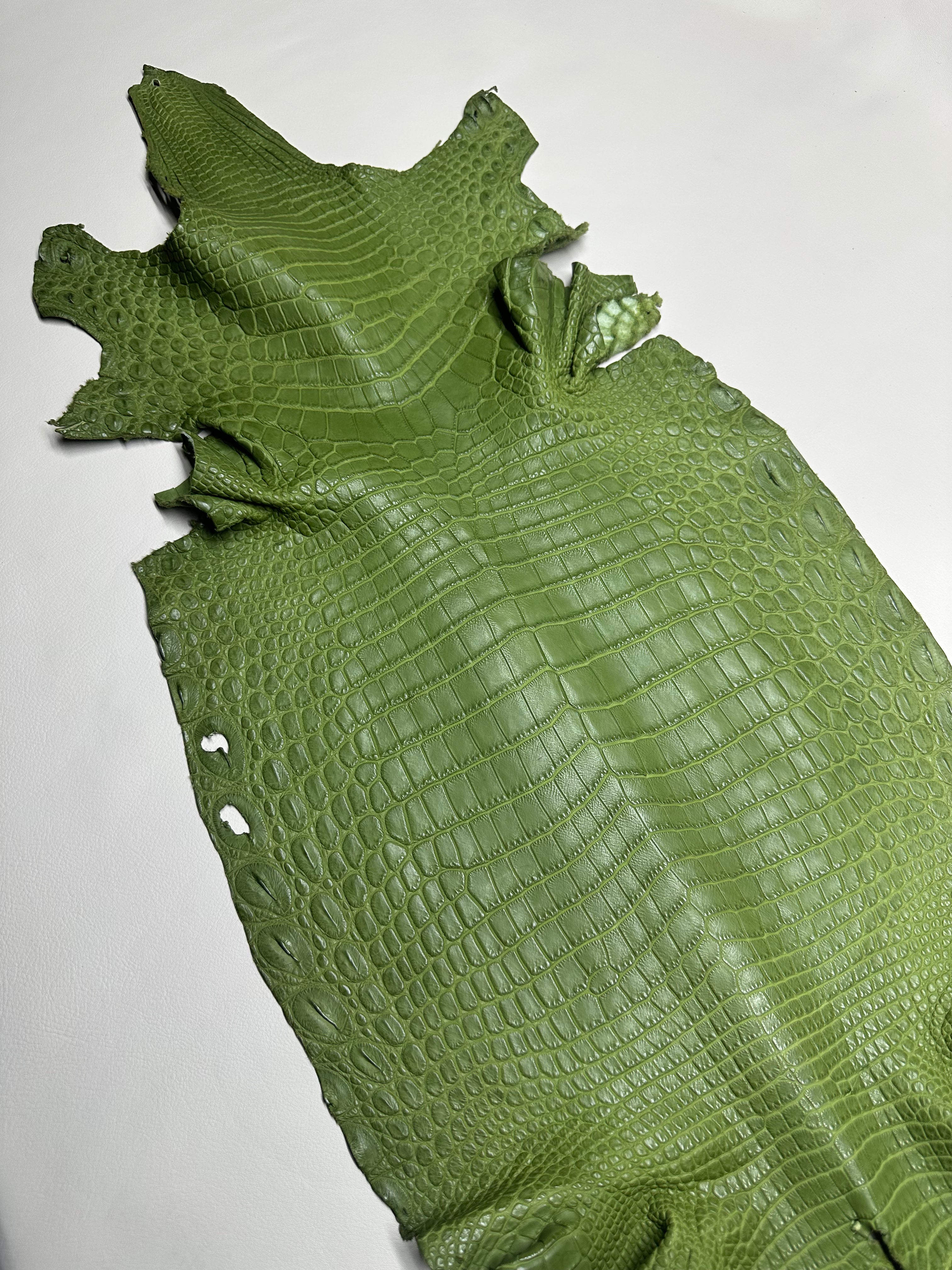 Croc Green Leather