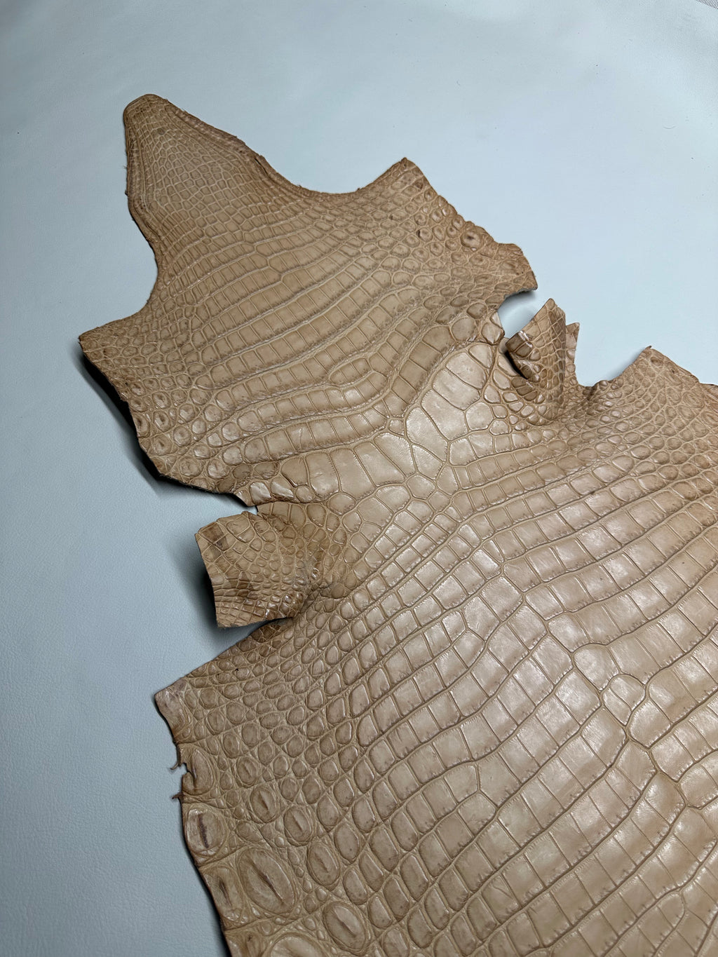 Croc Beige Leather