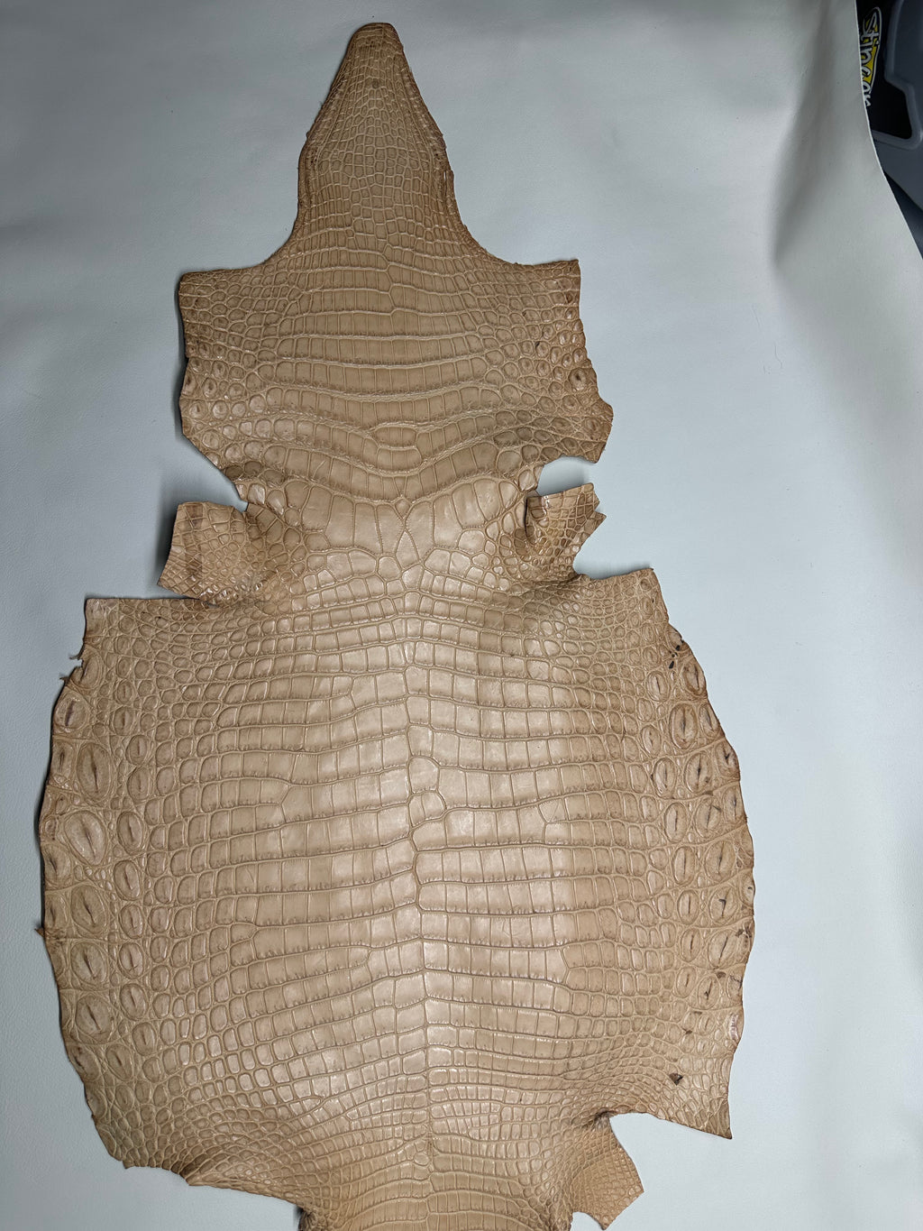 Croc Beige Leather