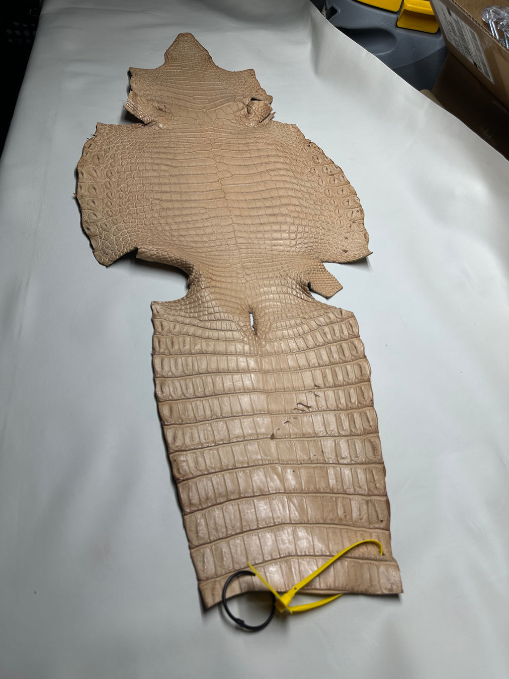 Croc Beige Leather