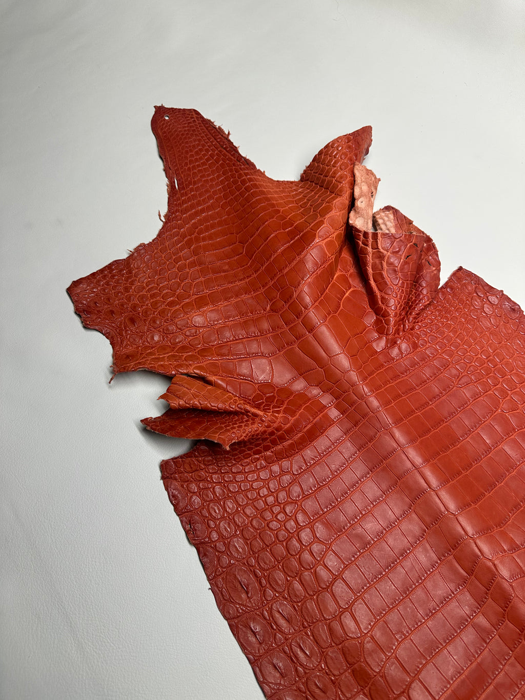 Croc Red Brick Leather