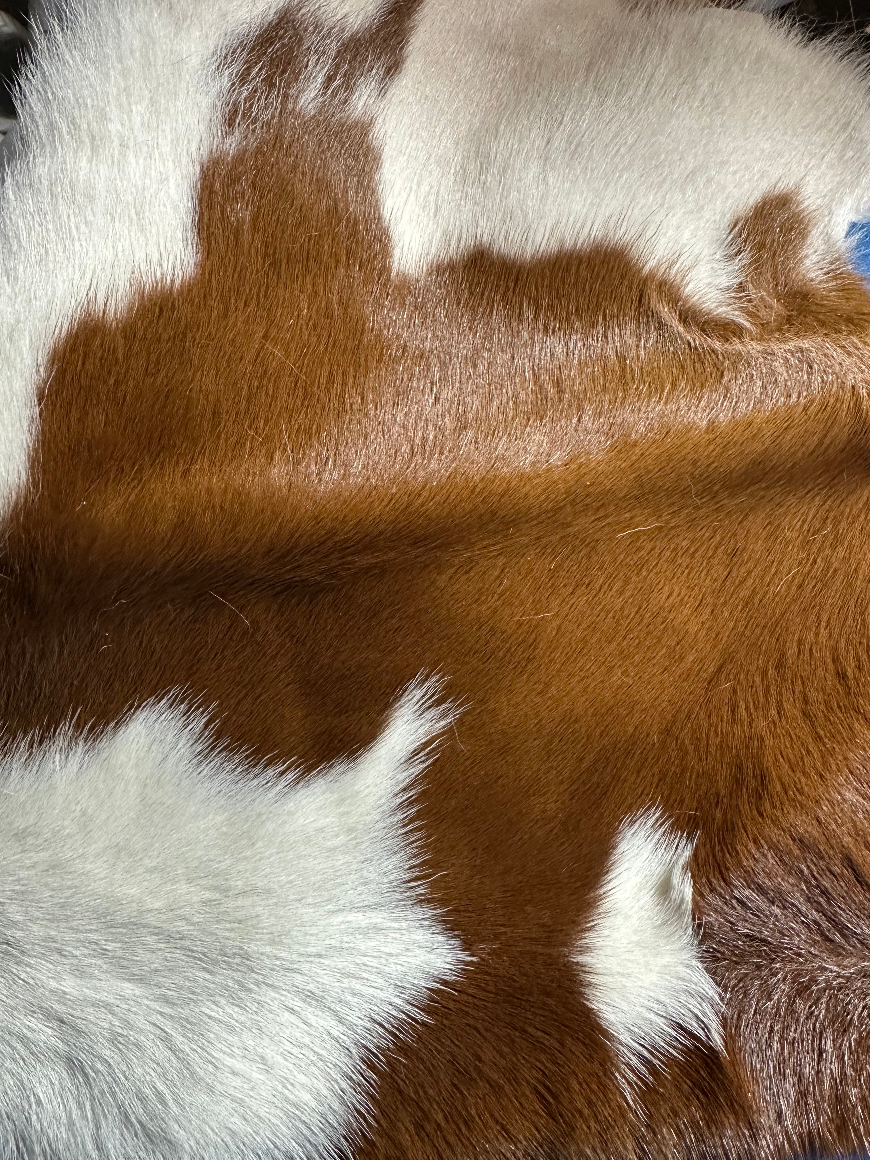 Cowhide Two Tones Brown/White