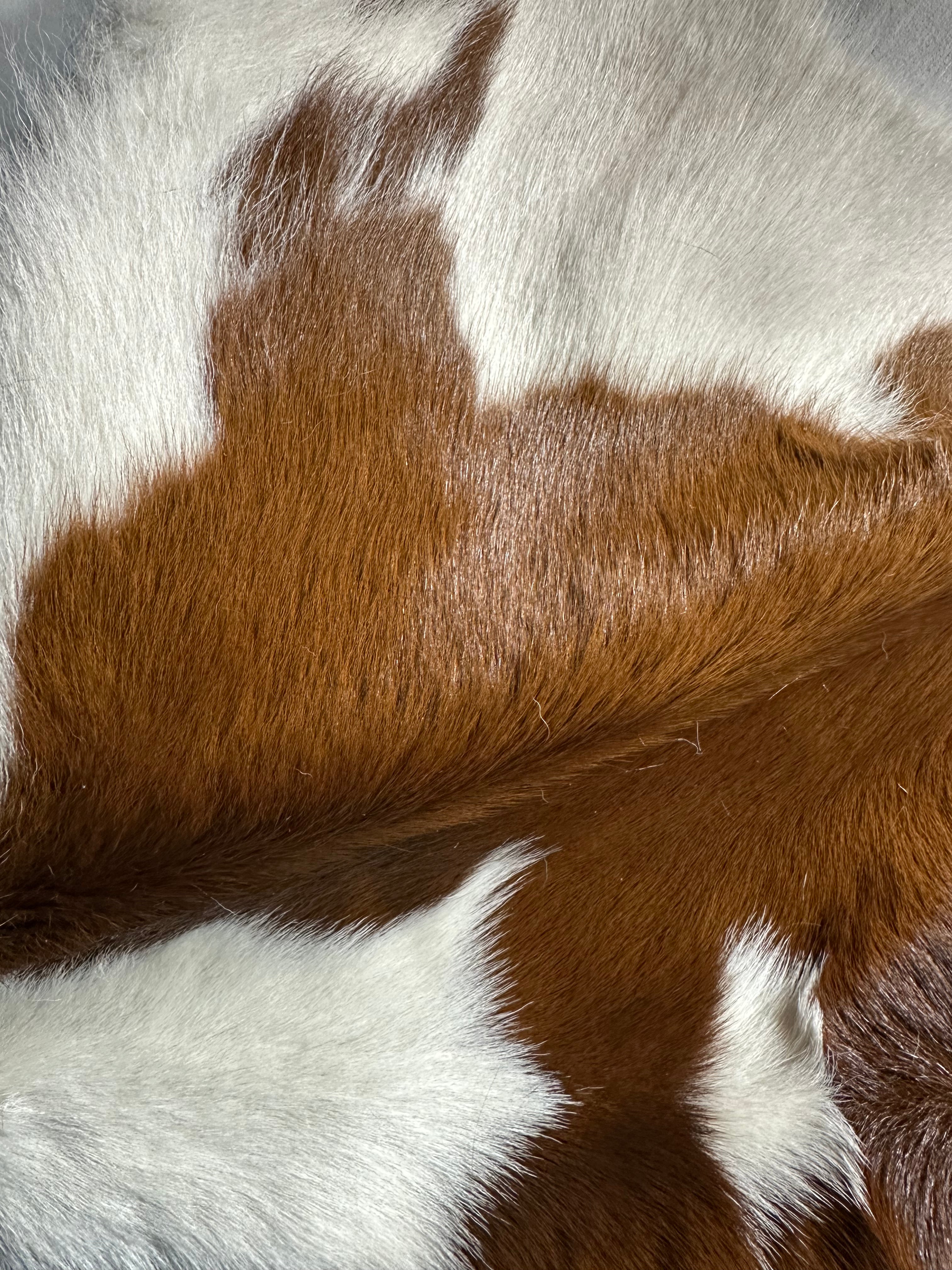 Cowhide Two Tones Brown/White