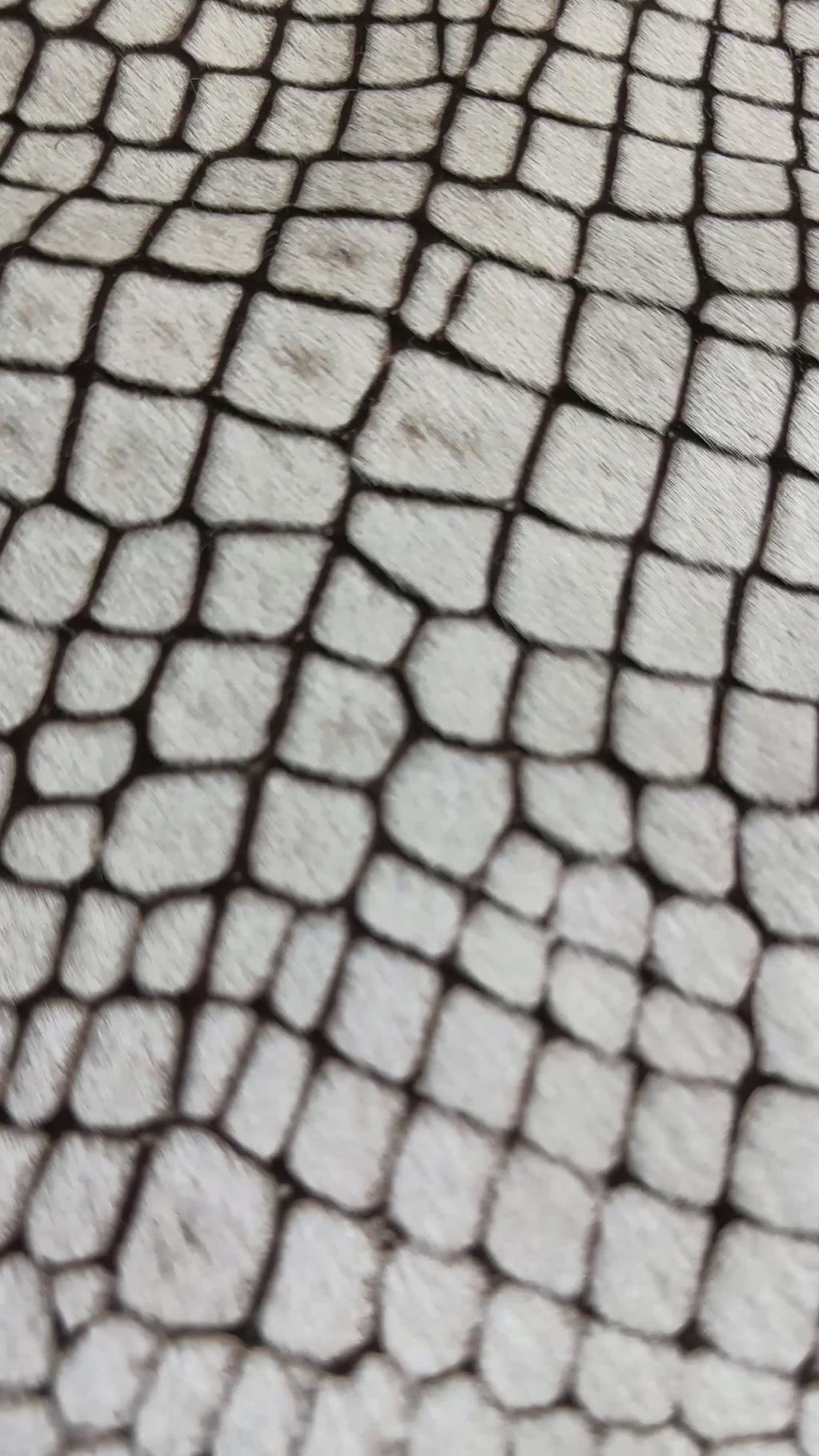 Laser Cowhide with Hair